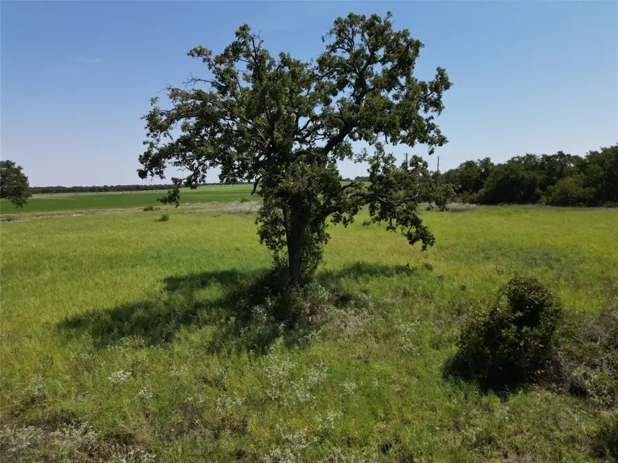 1211 County Road 226, Rising Star, TX 76471 - Image #2