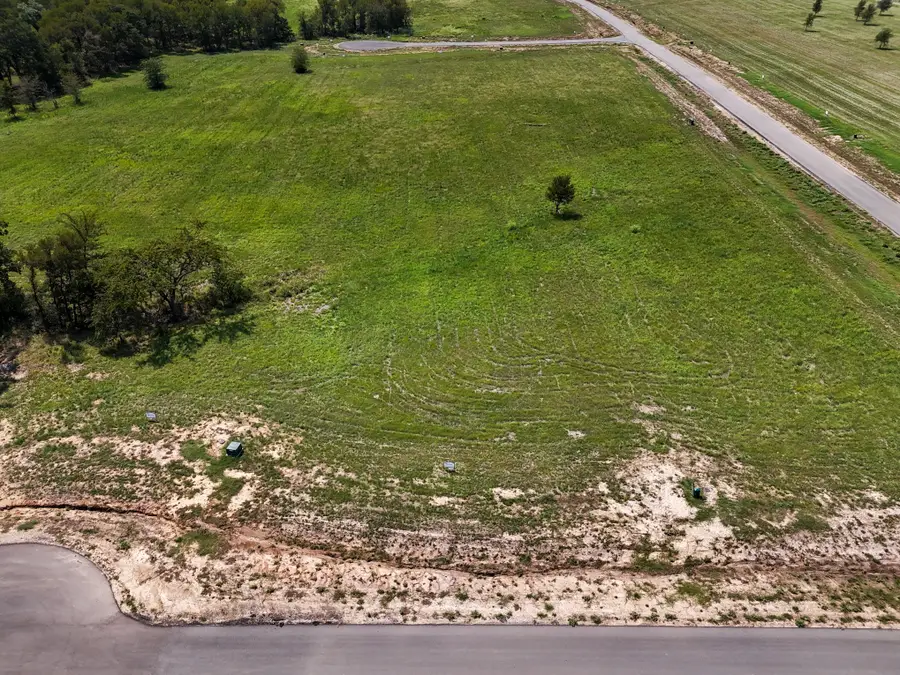 220 Diamond Point, Dodd City, TX 75438 - Image #3