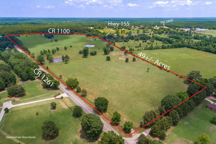 17104 County Road 1100, Flint, TX 75762 - Image #2