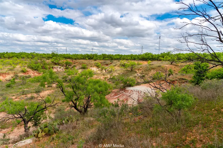 TBD Cr 195, Anson, TX 79501 - Image #2