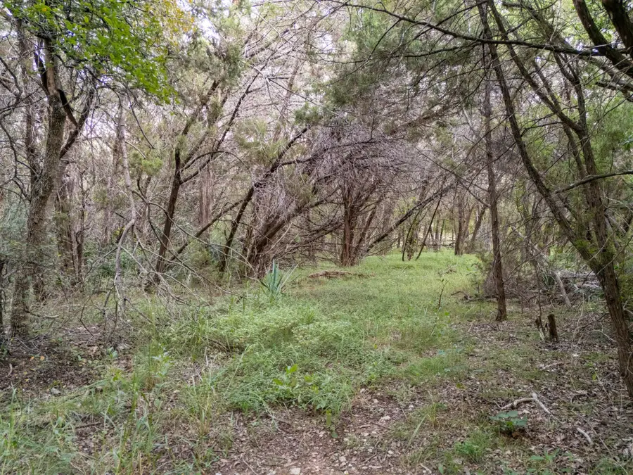 TBD Woodland Circle, China Spring, TX 76633 - Image #3