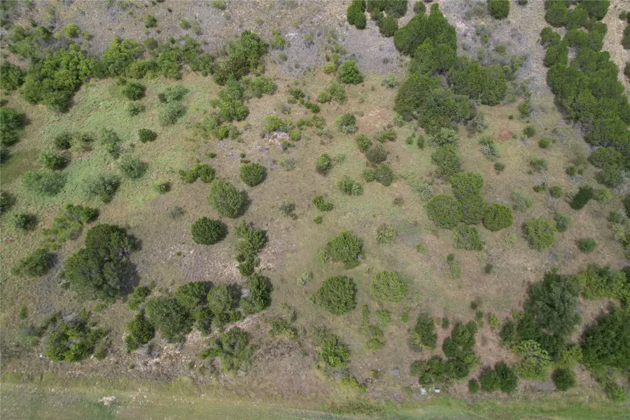 1451 Balcones Lane, Possum Kingdom Lake, TX 76449 - Image #3