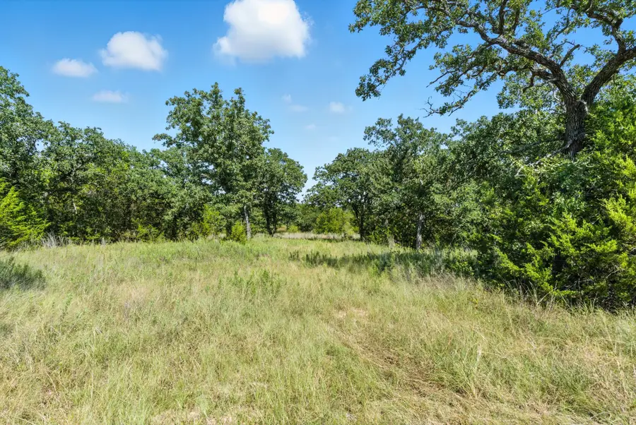 523 Georgia Pass, Desdemona, TX 76445 - Image #2