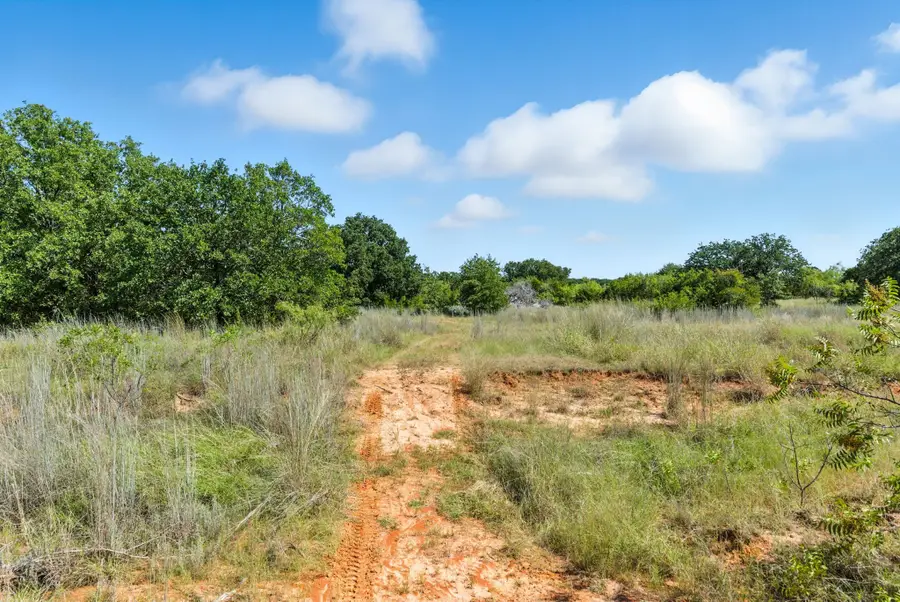 523 Georgia Pass, Desdemona, TX 76445 - Image #3