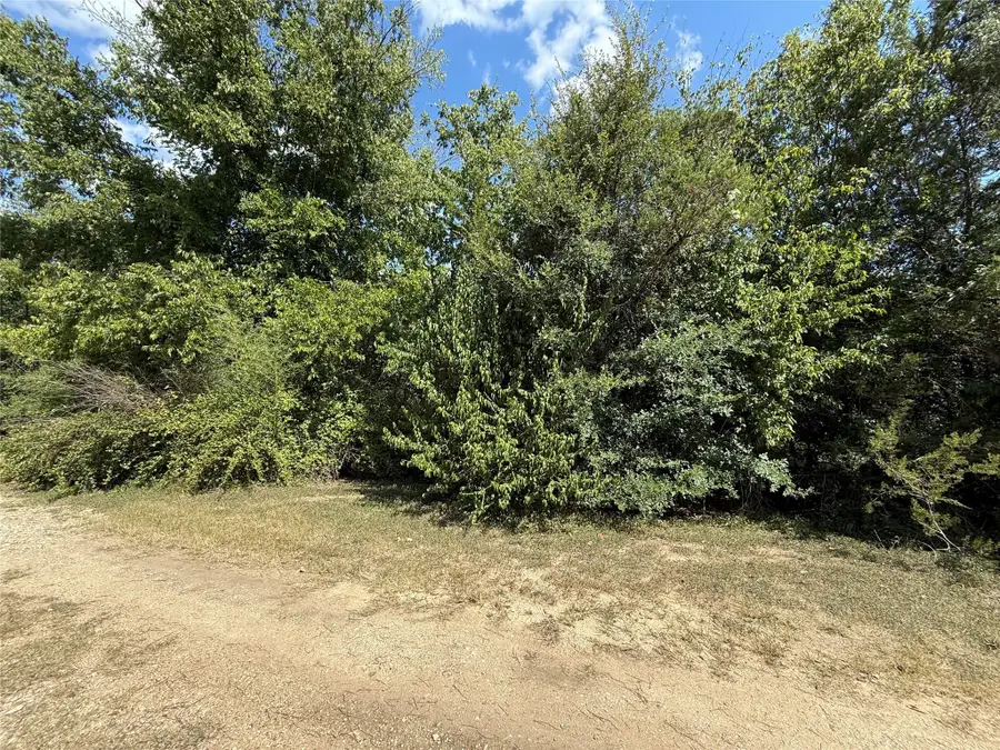 120 Live Oak Spur, Whitney, TX 76692 - Image #2