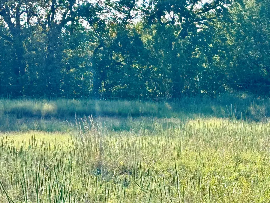 605 W Kerry Court, Poolville, TX 76487 - Image #2