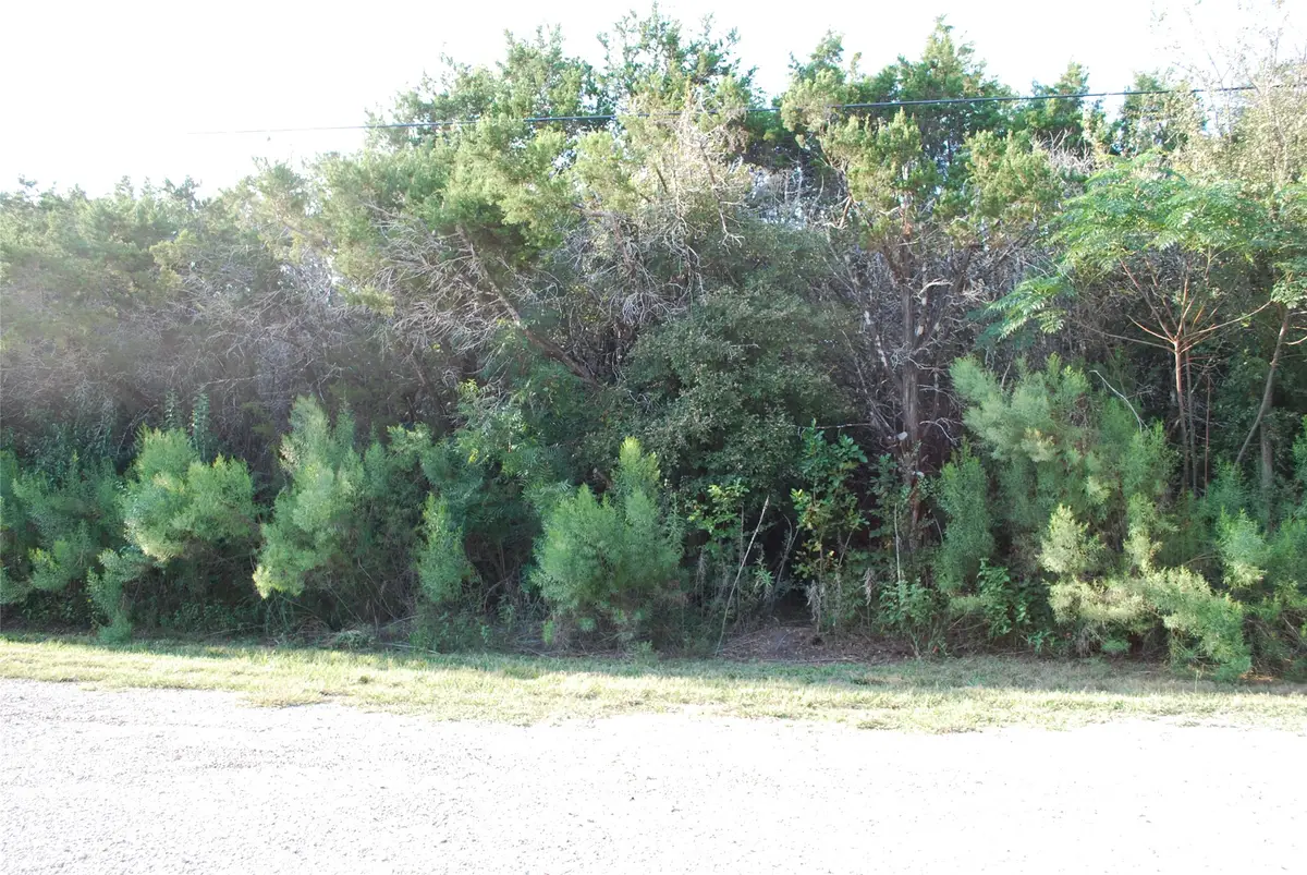 30075 Woodcrest Drive, Whitney, TX 76692 - Image #1