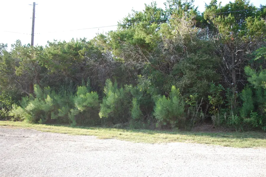 30075 Woodcrest Drive, Whitney, TX 76692 - Image #2