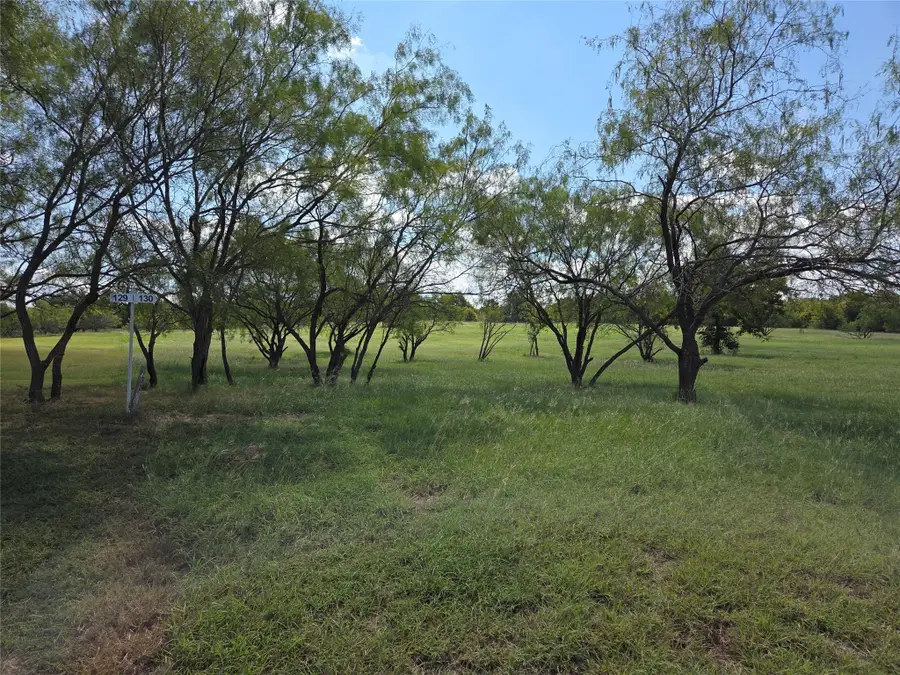 Lot 130 Lake Vista Drive, Streetman, TX 75859 - Image #3