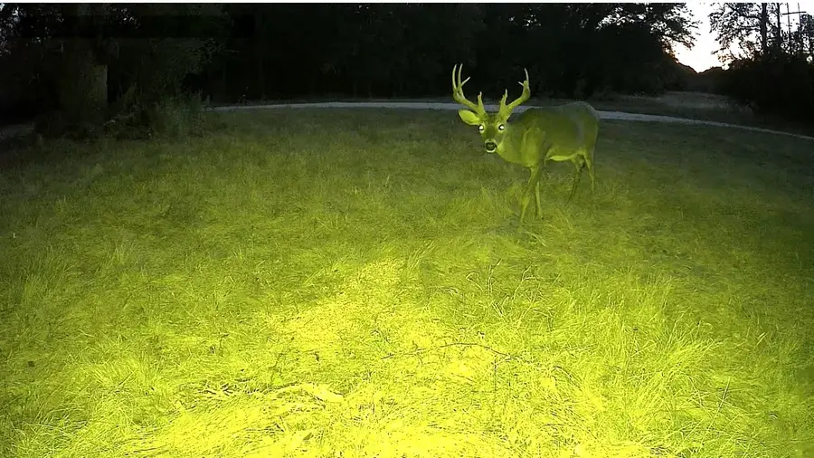 2393 Fm 708, Clifton, TX 76689 - Image #2