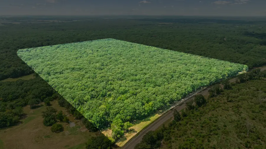 000 Fm 410 S, Bogata, TX 75417 - Image #2