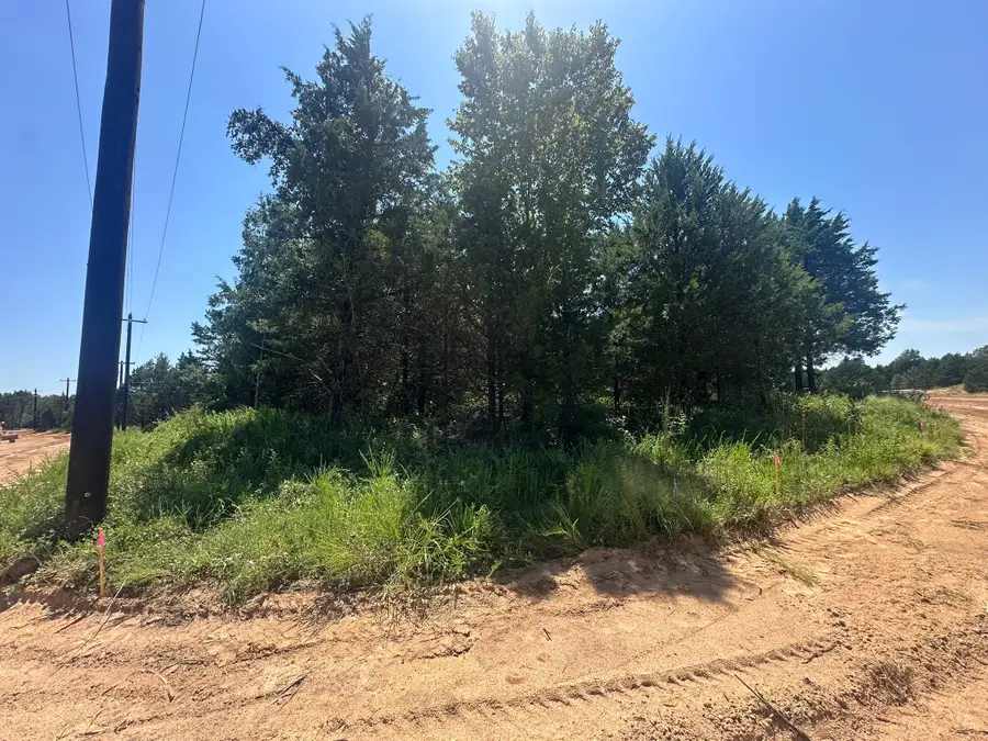 TBD Reflection Bay Boulevard, Gordonville, TX 76245 - Image #3