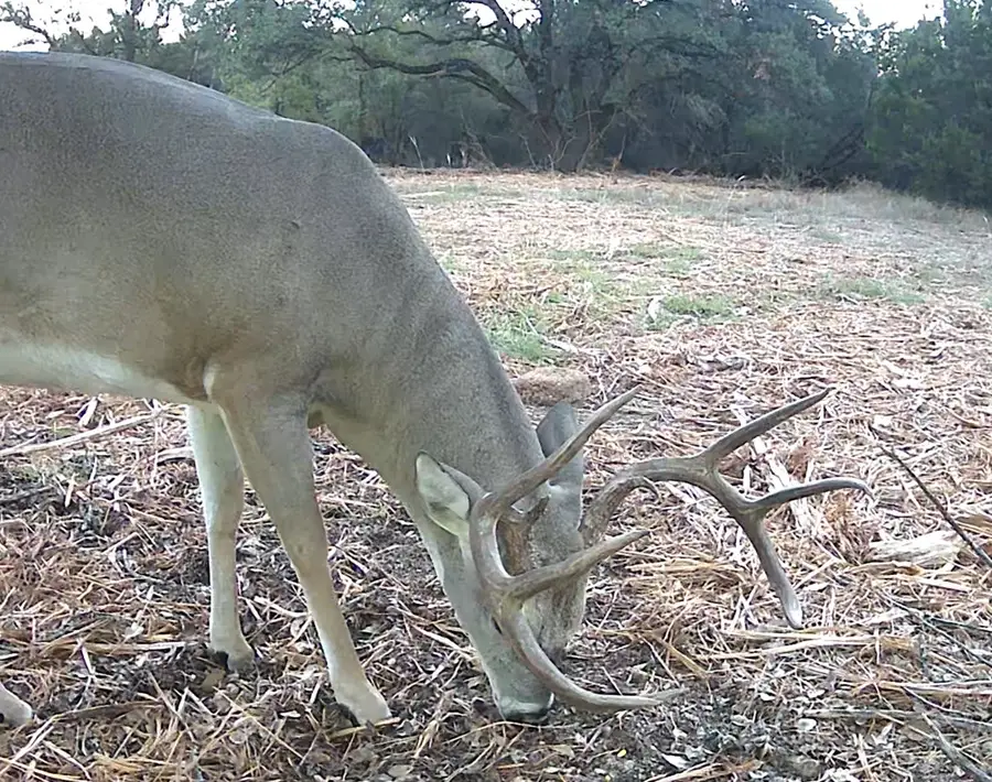 TBD Fm 708a, Clifton, TX 76634 - Image #2