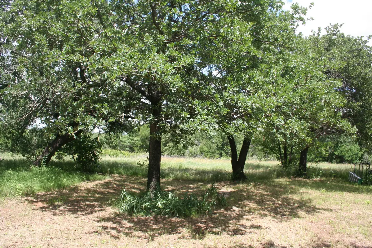 215a Buzbee Road, Palo Pinto, TX 76484 - Image #1