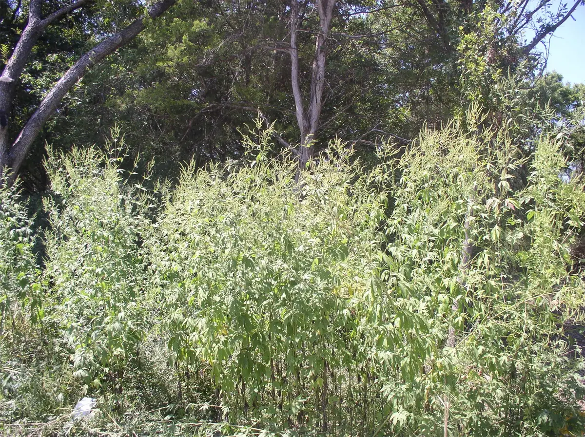 2343/2347 Fatima Avenue, Dallas, TX 75241 - Image #1