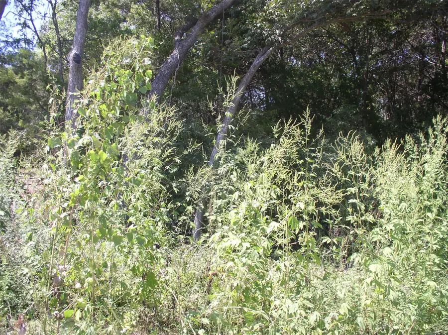 2343/2347 Fatima Avenue, Dallas, TX 75241 - Image #2