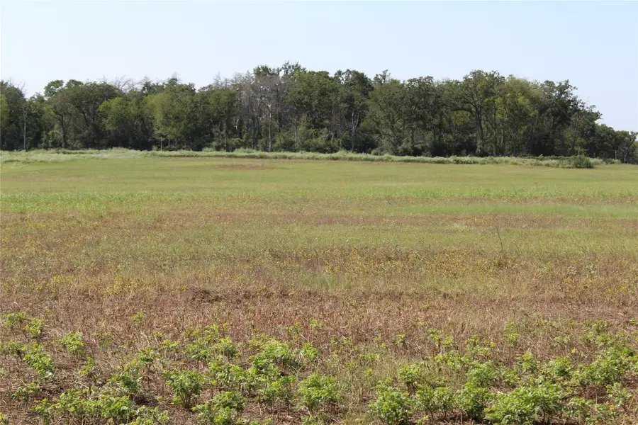 165 Highland Drive, Cameron, TX 76520 - #2