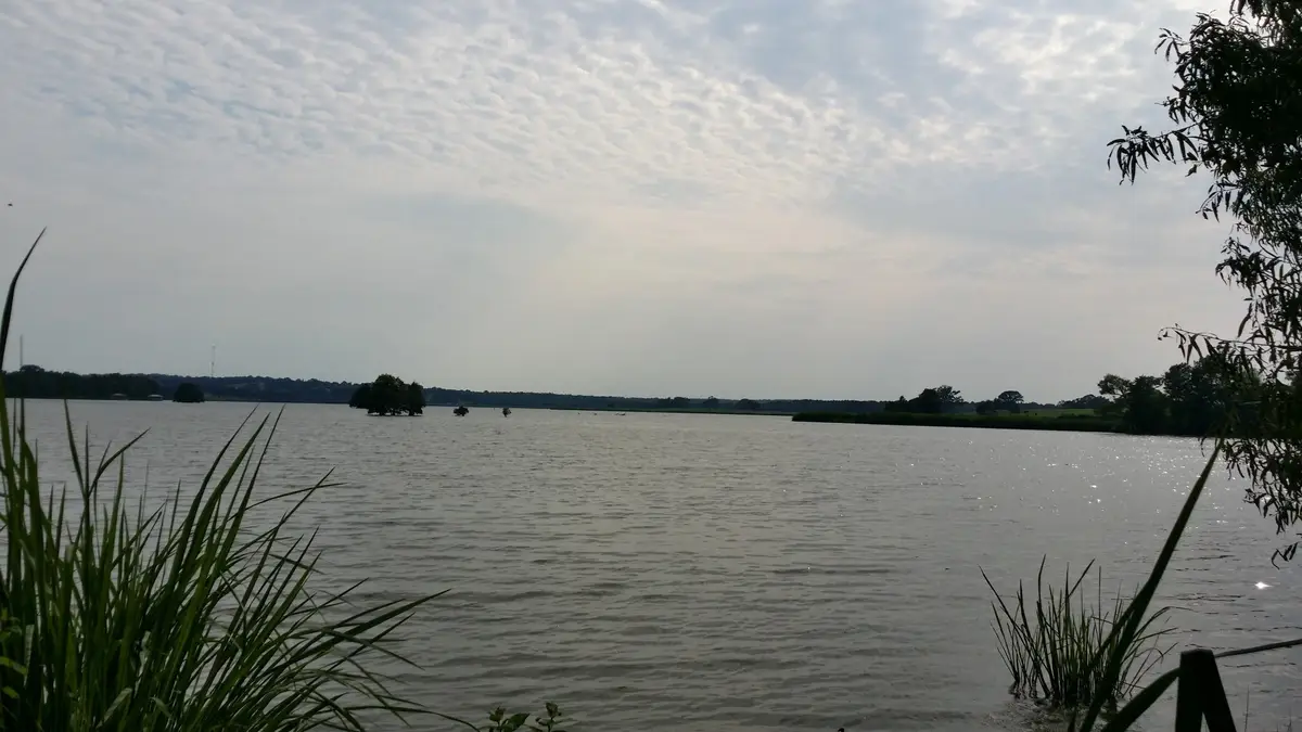 336 Grand View Drive, Athens, TX 75752 - Image #1