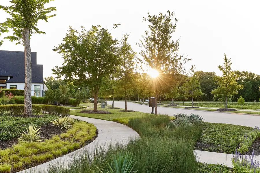 9251 Cardinal Flower Street, Frisco, TX 75035 - Image #2