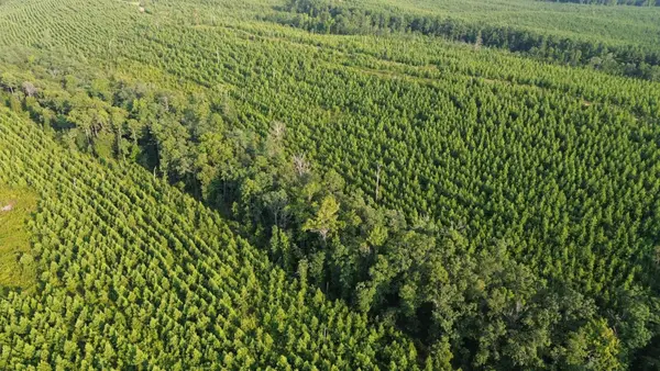 000 Off Baylor House Rd, Bigelow, AR 72016