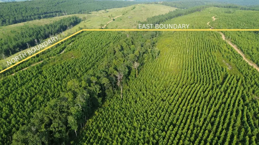 000 Off Baylor House Rd, Wye, AR 72016 - Image #2