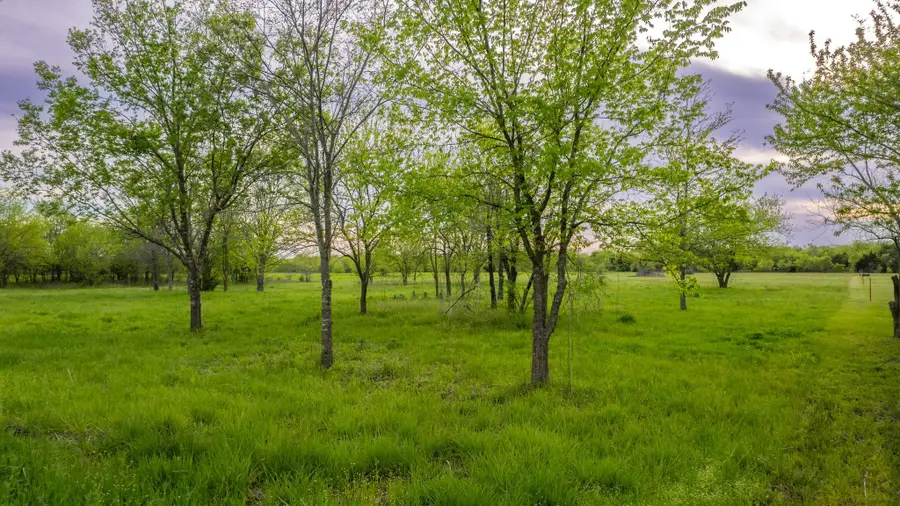 4804 County Road 4506, Commerce, TX 75428 - Image #2