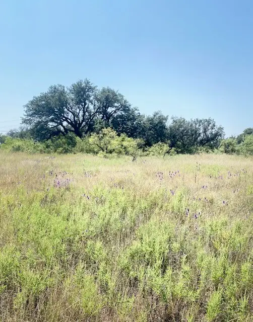 6955 Ennis Drive, Brownwood, TX 76801 - Image #2