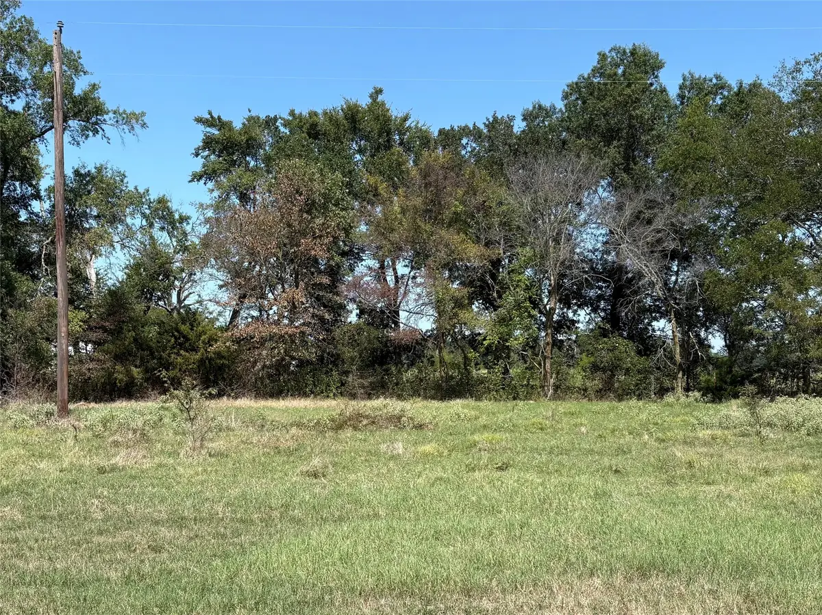 TBD 1 County Road 1168 #Tract 1, Brashear, TX 75420 - Image #1