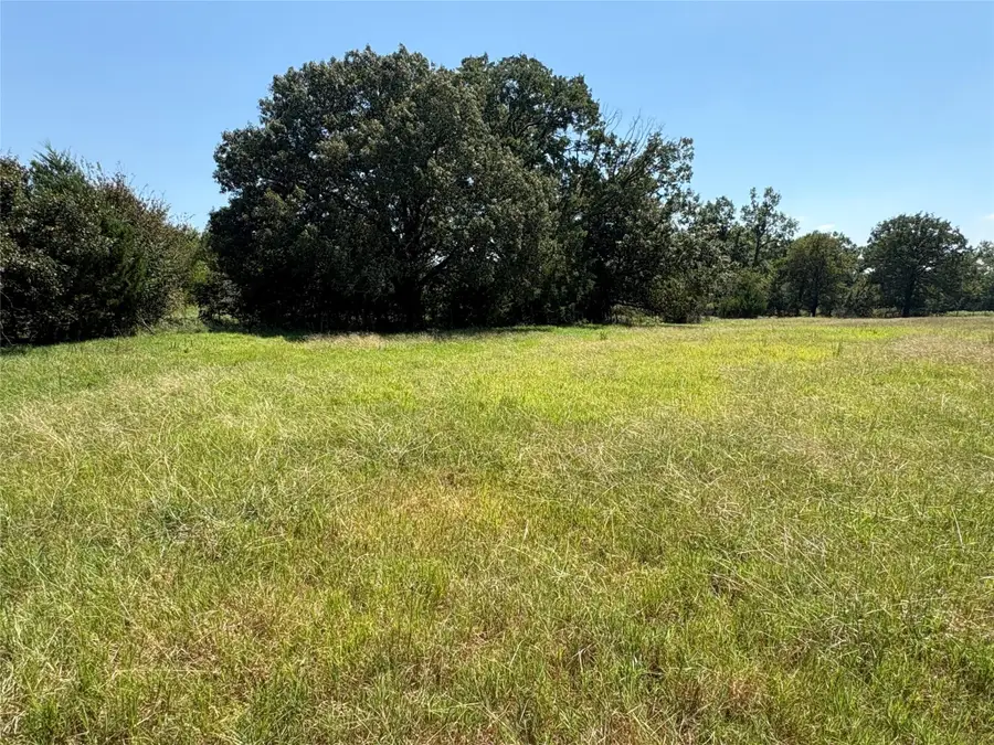 TBD 3 County Road 1168 #Tract 3, Brashear, TX 75420 - Image #2