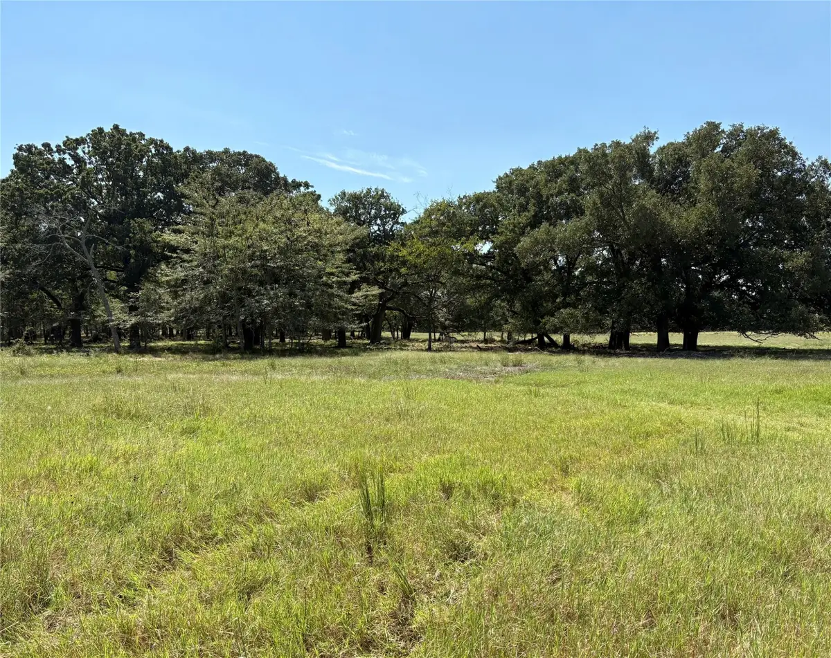 TBD County Road 1168, Brashear, TX 75420 - Image #1