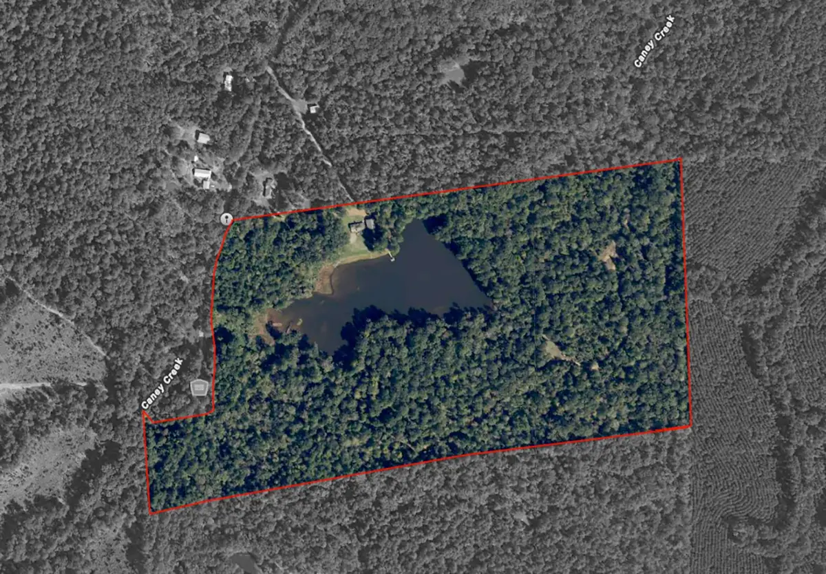 649 An County Road 1215, Grapeland, TX 75844 - Image #1