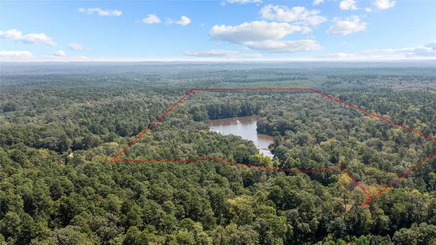 649 An County Road 1215, Grapeland, TX 75844 - Image #2