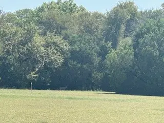 1017 White Bluff Drive, Whitney, TX 76692 - Image #3