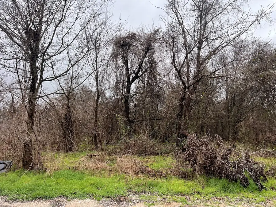 TBD Limited Street, Waco, TX 76705 - Image #2