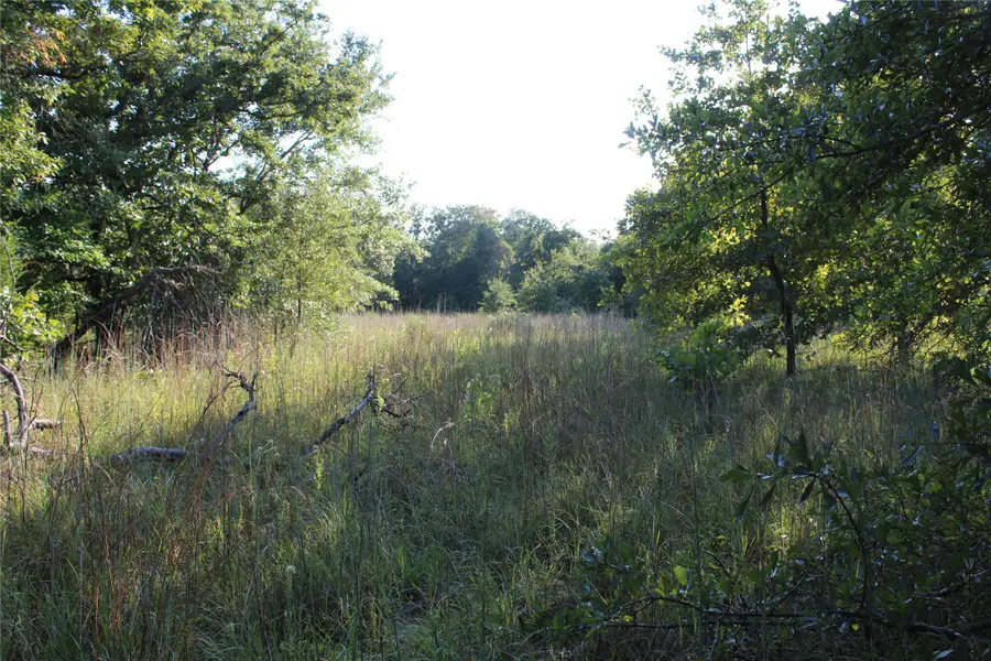 TBD Cr 935, Teague, TX 75860 - Image #3