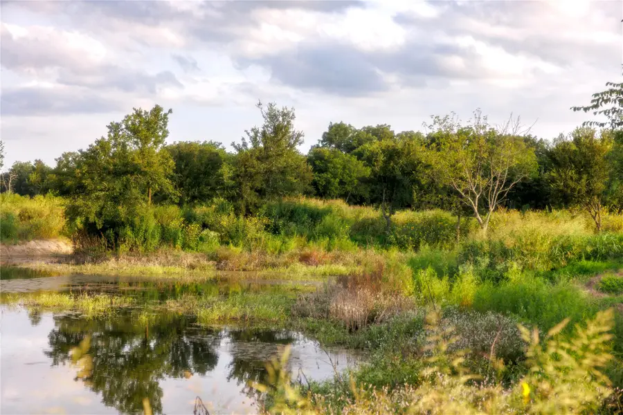 24+/- ac. TBD Hwy 6, Valley Mills, TX 76689 - Image #3