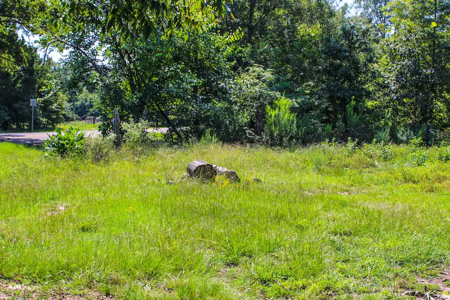 6773 Fm 1699, Avery, TX 75554 - Image #3