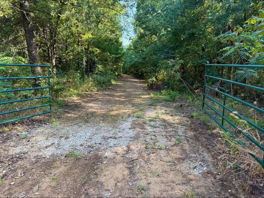 790 Ferguson Road, Whitesboro, TX 76273 - Image #3