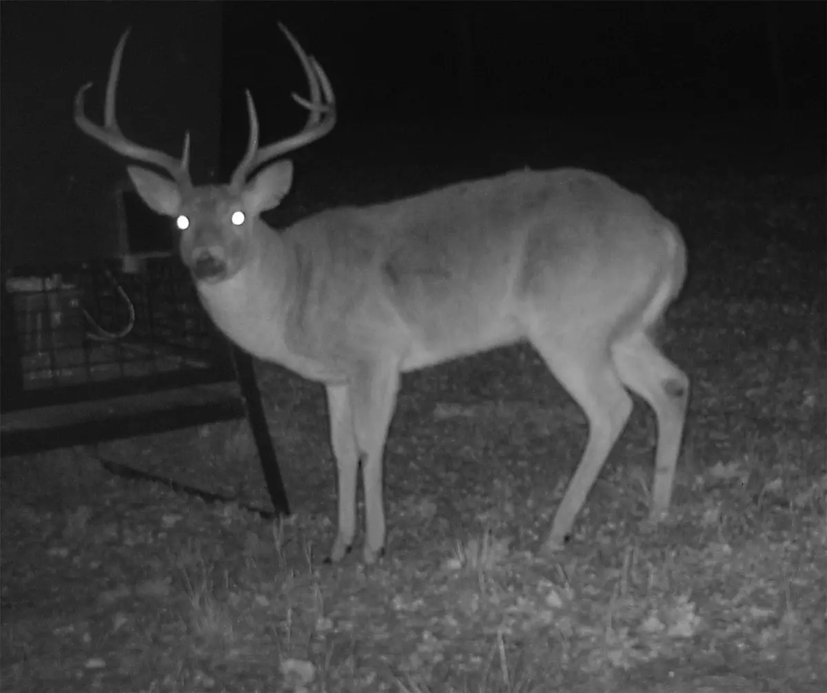 2210 Cardwell Road, Ringgold, TX 76261 - Image #1