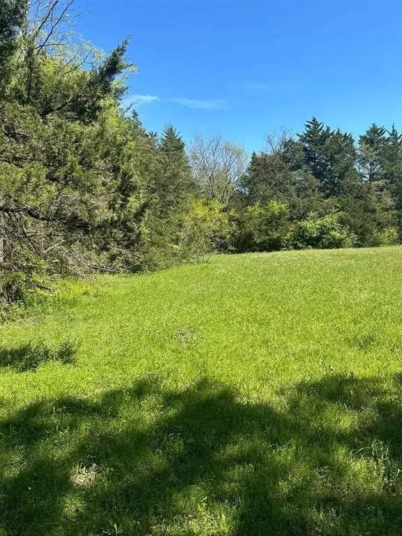 1005 Cornelia Street, Greenville, TX 75401 - Image #3