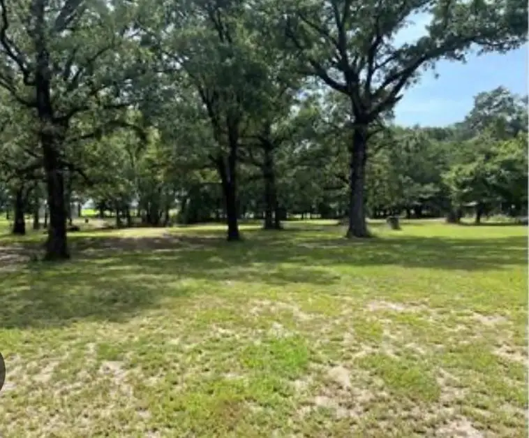 N/A Tbd Pecan Oak Trail, Wills Point, TX 75169 - Image #1