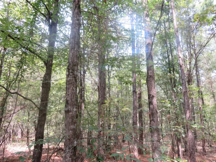 00 Clyde Place Vivian Rd, Vivian, LA 71082 - Image #2