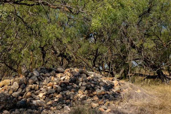 TBD County Road 242, Clyde, TX 79510