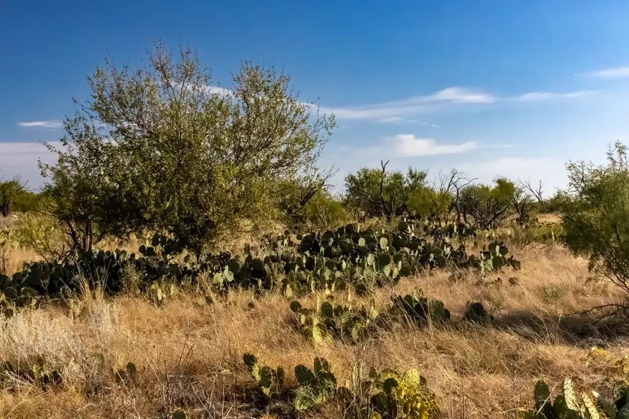 TBD County Road 242, Clyde, TX 79510 - Image #2