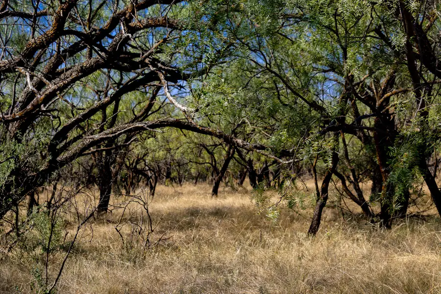 TBD County Road 242, Clyde, TX 79510 - Image #3