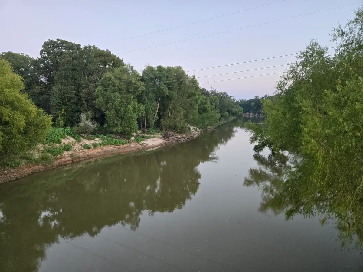 TBD-1 Fm 2517, Carthage, TX 75633 - Image #1