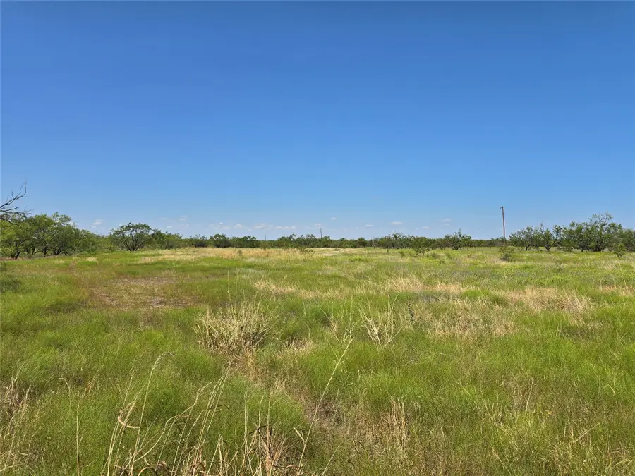 TBD Fm 2132, Talpa, TX 76882 - Image #2