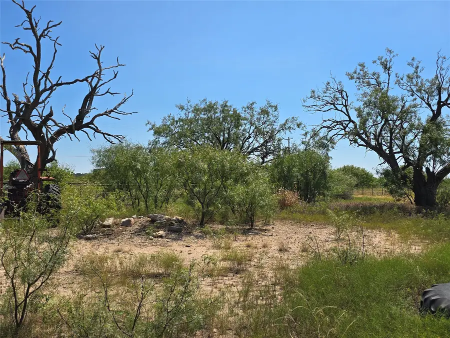 TBD Fm 2132, Talpa, TX 76882 - Image #3