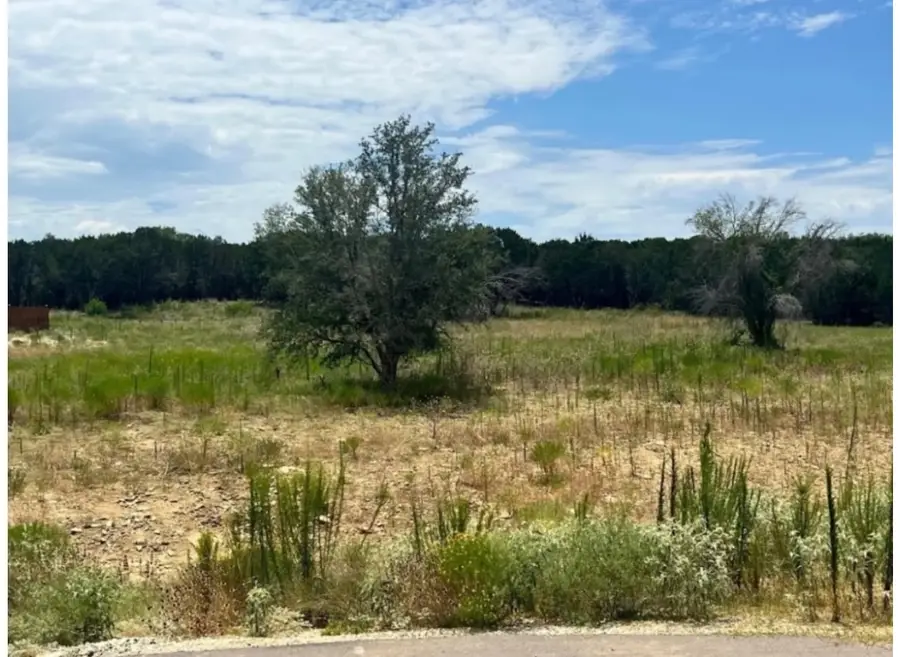 2047 Lacee Court, Granbury, TX 76048 - Image #3