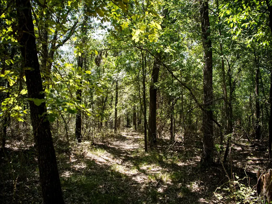 3305 Voyager Lane, Flower Mound, TX 75028 - Image #2